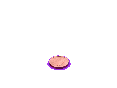 Coin flip